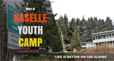 Exploring the Transformative Journey at Naselle Youth Camp