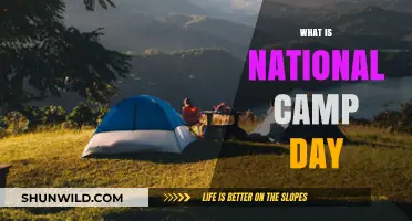 Exploring the Significance of National Camp Day: A Comprehensive Guide