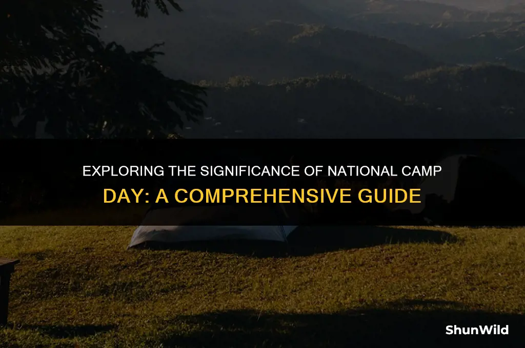 what is national camp day