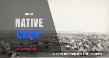 Exploring the Essence of Native Camp: A Journey into Cultural Immersion