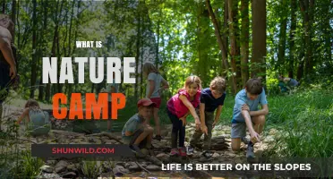 Exploring the Great Outdoors: What is Nature Camp?