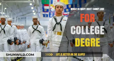 Navy Boot Camp Experience: What College Graduates Should Expect
