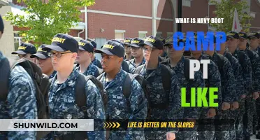 Navy Boot Camp PT: Rigorous Training, Discipline, and Physical Challenges Explained