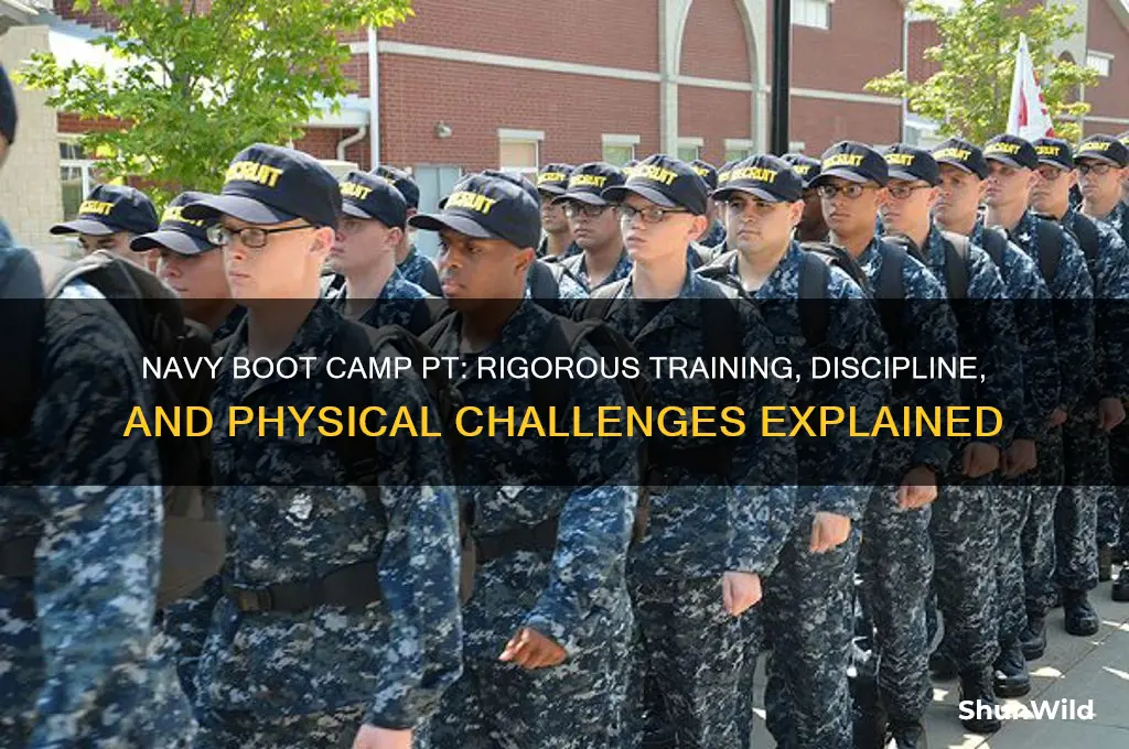 what is navy boot camp pt like