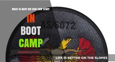 Understanding Navy Div 900 Ship Staff Roles in Boot Camp
