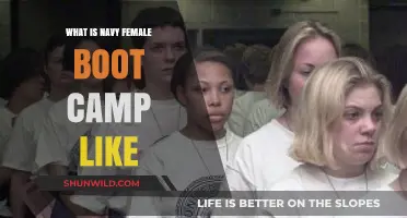 Navy Female Boot Camp: Challenges, Camaraderie, and Transformation Revealed