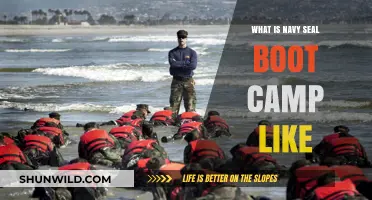 Inside Navy SEAL Boot Camp: Rigorous Training, Mental Grit, and Sacrifice