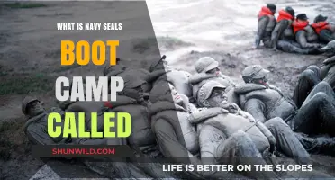 Unveiling the Navy SEALs' Grueling Training: What is Hell Week?