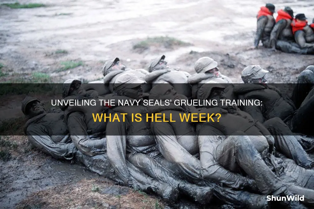 what is navy seals boot camp called