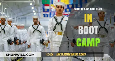 Understanding Navy Ship Staff Roles and Training in Boot Camp