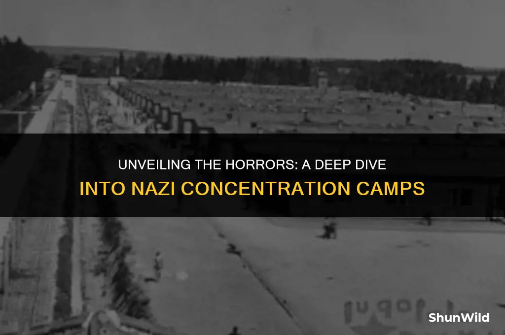 what is nazi camp