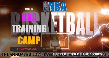 Exploring the Ins and Outs of NBA Training Camp