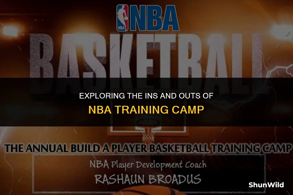 what is nba training camp