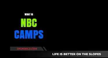 Exploring NBC Camps: A Comprehensive Guide to Summer Adventures