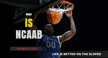 The Ultimate Guide to NCAAB