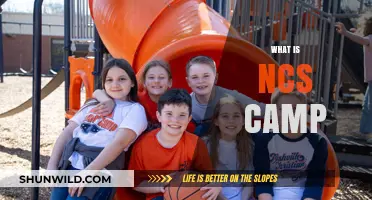 Exploring the Thrills and Skills of NCS Adventure Camps