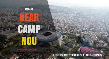 Exploring the Vibrant Neighborhood Around Camp Nou: A Local's Guide