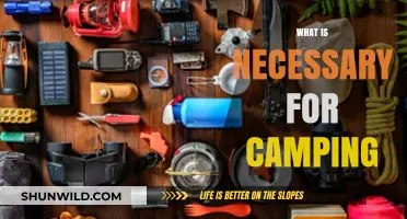 Essential Gear and Tips for a Successful Camping Adventure