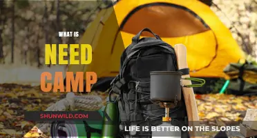Exploring the Essentials: What You Need for a Successful Camp