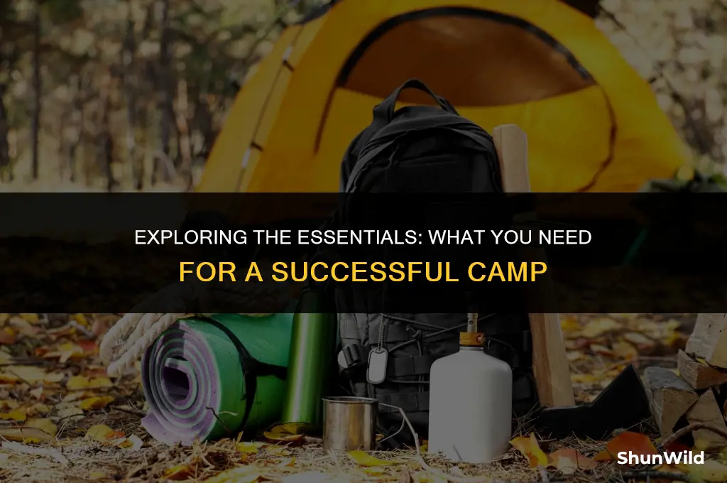 what is need camp