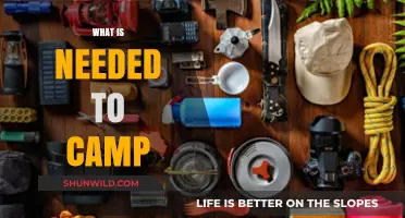 Essential Gear and Tips for a Successful Camping Adventure