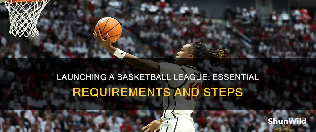 what is needed to start a basketball league