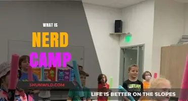 Exploring the Exciting World of Nerd Camp: A Comprehensive Guide