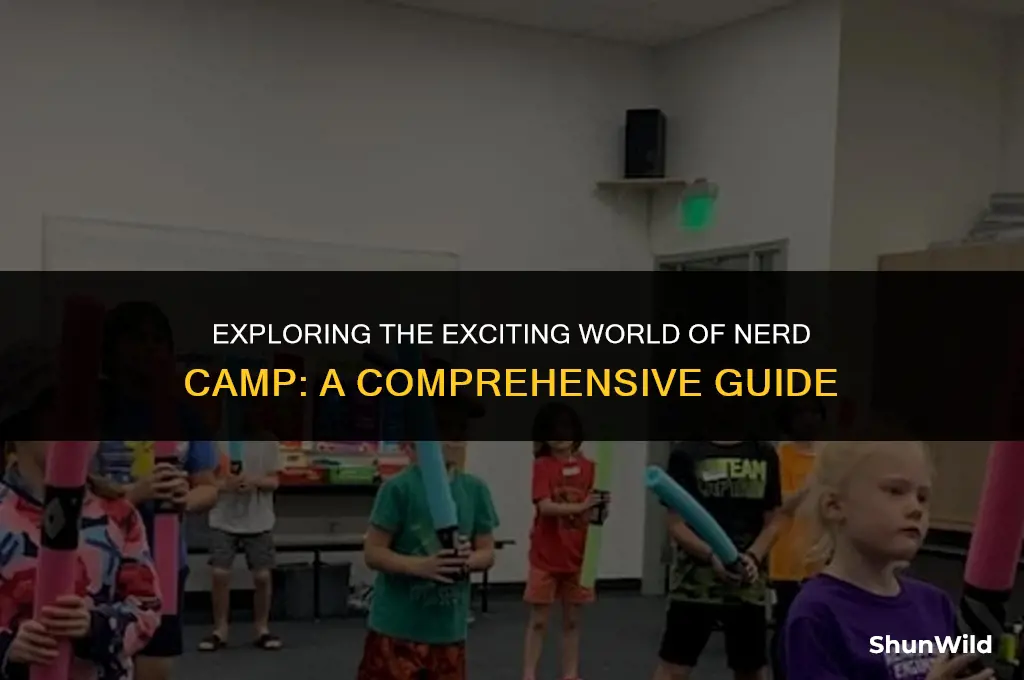 what is nerd camp