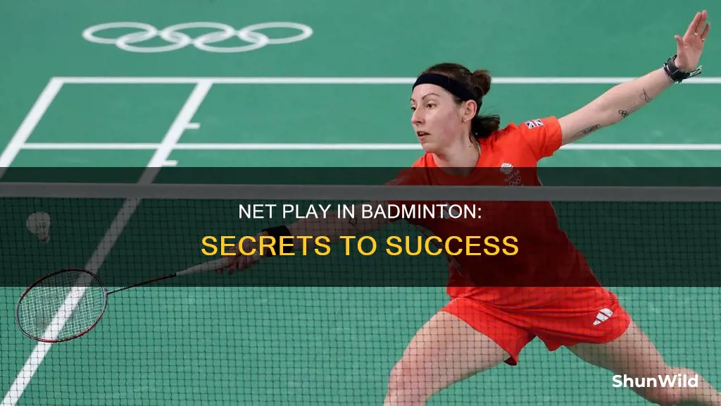 what is net play in badminton