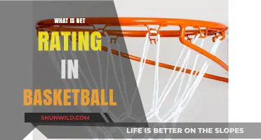 Net Rating: Basketball's Ultimate Metric?