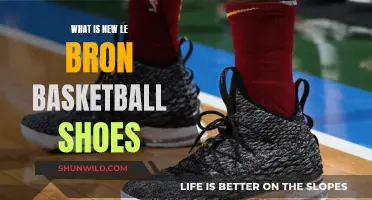 LeBron's New Shoes: A Court-Ready Review