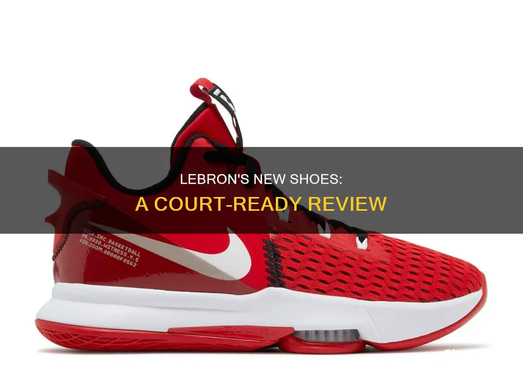 what is new le bron basketball shoes