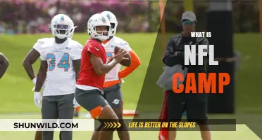 Exploring the Dynamics of NFL Training Camps: A Comprehensive Guide