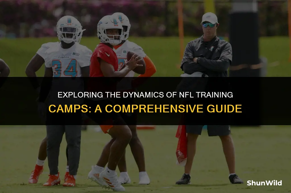 what is nfl camp