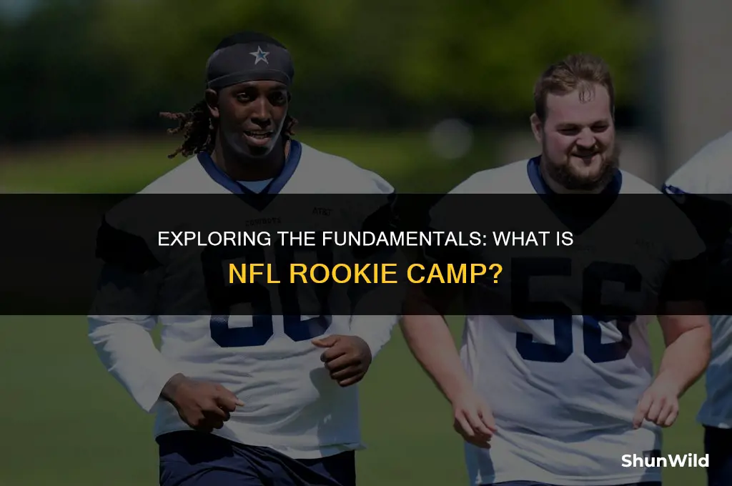 what is nfl rookie camp