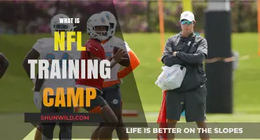 Understanding NFL Training Camp: Preparation, Drills, and Team Building