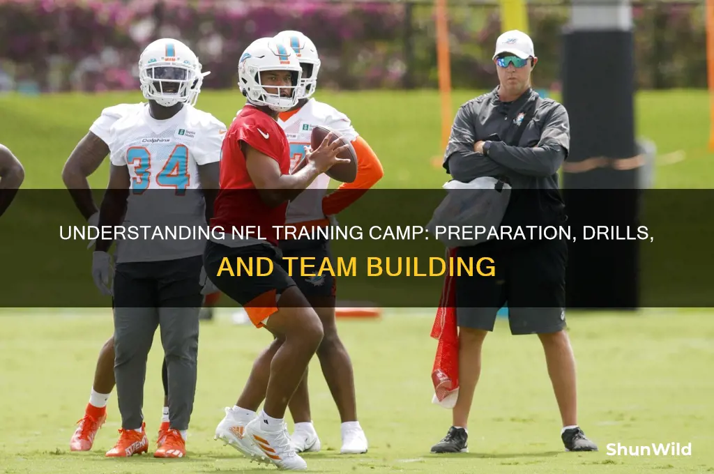 what is nfl training camp
