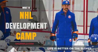 Exploring the NHL Development Camp: A Pathway to Pro Hockey