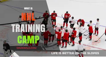 Exploring the Ins and Outs of NHL Training Camp
