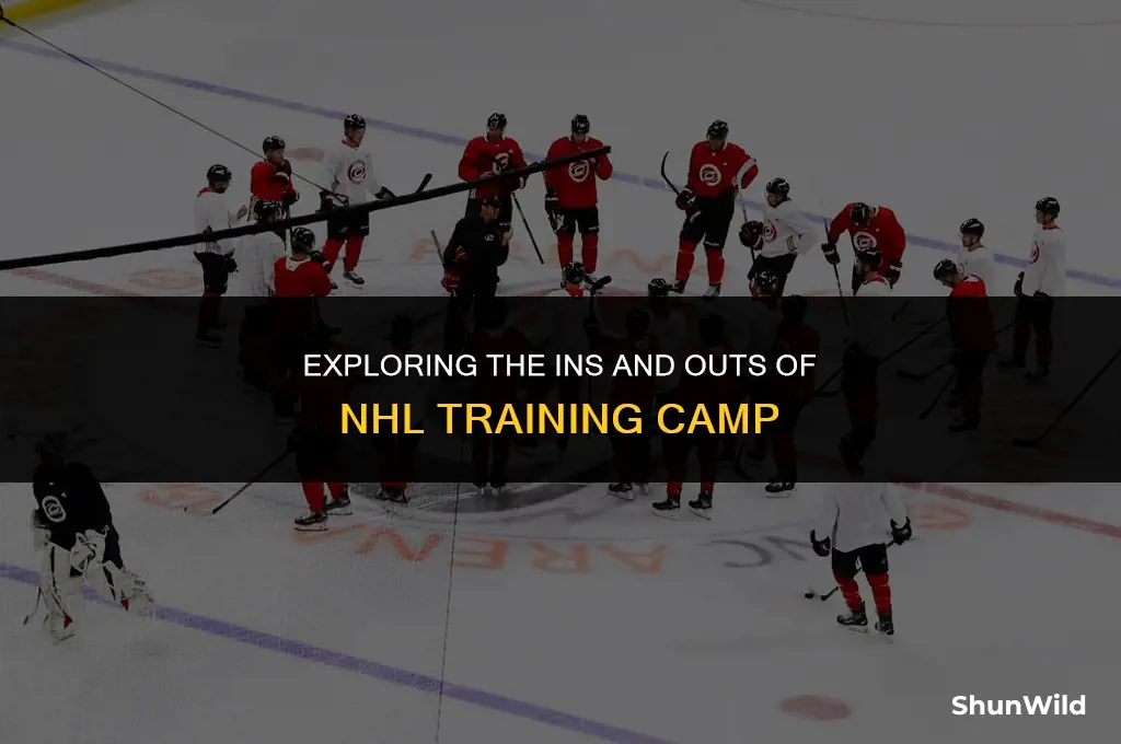 what is nhl training camp