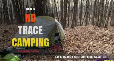 Embracing the Wilderness: A Guide to No-Trace Camping