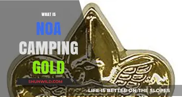 Unveiling the Mystery: What is NOA Camping Gold?