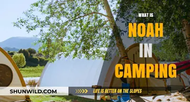 Exploring the Great Outdoors: A Beginner's Guide to Camping with Noah