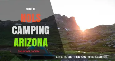 Discover the Best of Arizona: A Guide to NOLS Camping Adventures