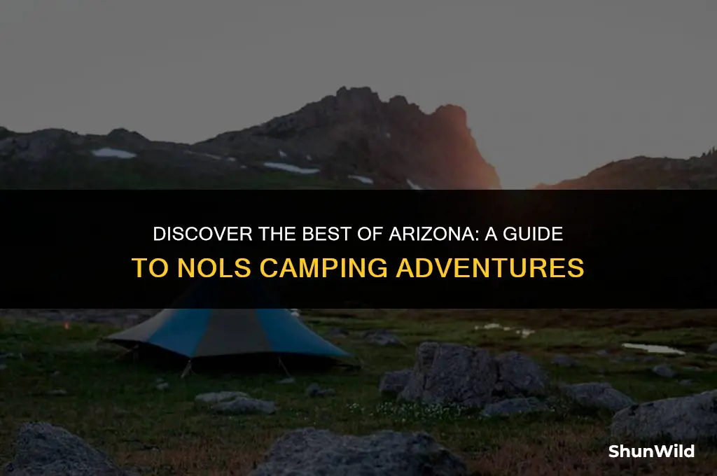 what is nols camping arizona
