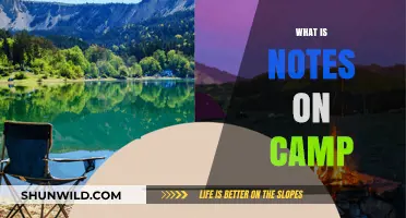 Exploring the Great Outdoors: A Camper's Guide to Unforgettable Adventures