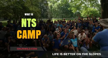 Exploring the Intricacies of NTS Camp: A Comprehensive Guide