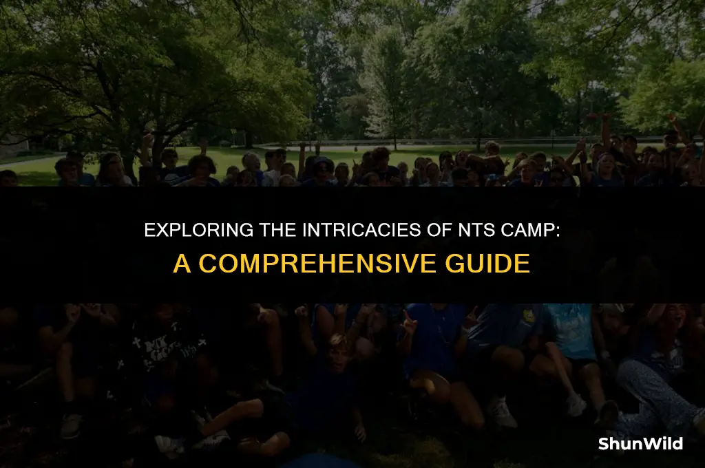 what is nts camp