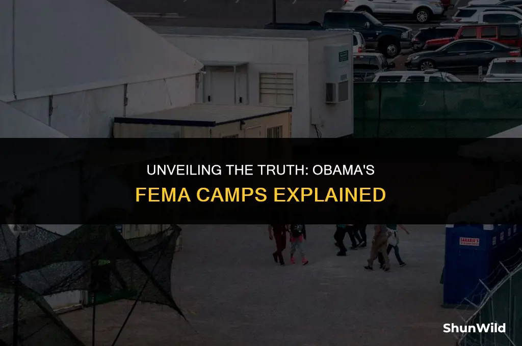 what is obama fema camps