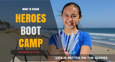 Ocean Heroes Boot Camp: Empowering Youth for Marine Conservation Action
